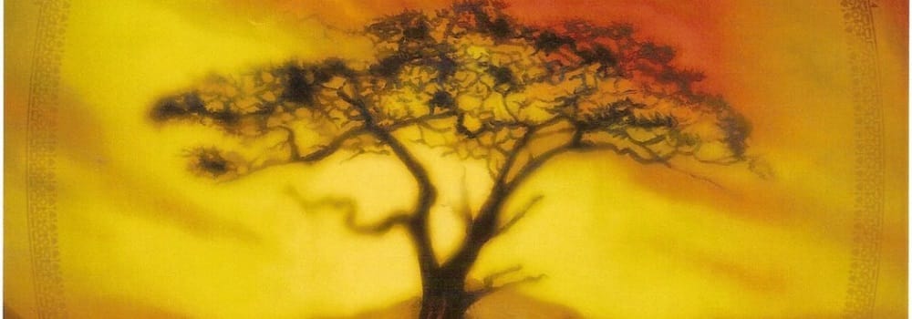 Acacia, le trône de fer en moins rouillé