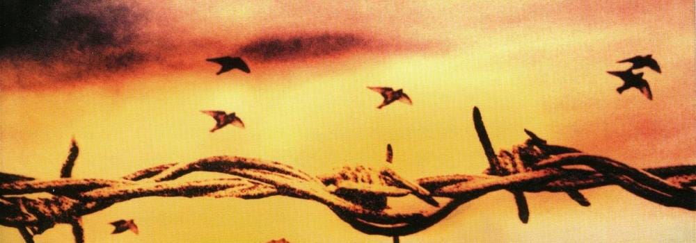 Le temps des tourments, Le train en marche