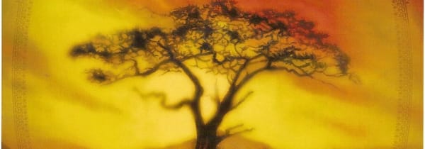 Acacia, le trône de fer en moins rouillé