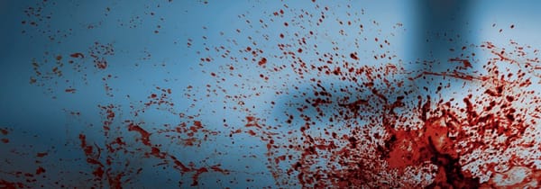 Le cannibale de Crumlin Road, perdu dans la translation