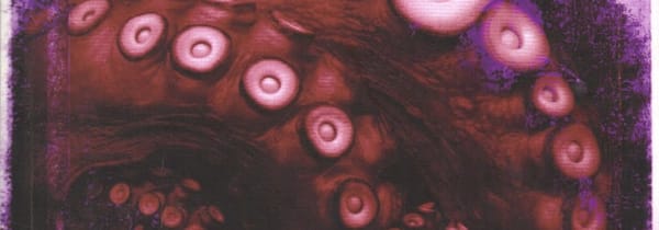 Kraken, indigestion littéraire