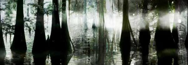 Louisiana Breakdown, cliché fantastique