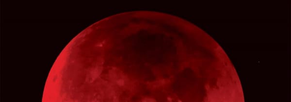 Nuit sombre et sacrée, L'alliance attendue