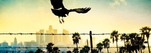 Séquences mortelles, Fatal incel