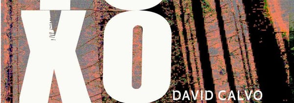 Toxoplasma, Rétrocyberpunk